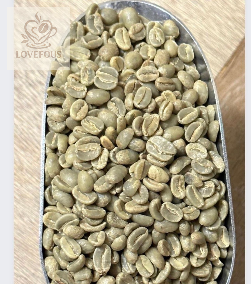 Gayo Aceh Natural Green Coffee Beans