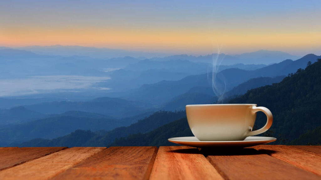 Cup Of Coffee With Nature Sykdhzd5xzwd99pt