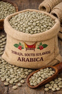 Gen H Z7380112069775 Fc2c5cdf9e875a13ab46611e2fa460eb