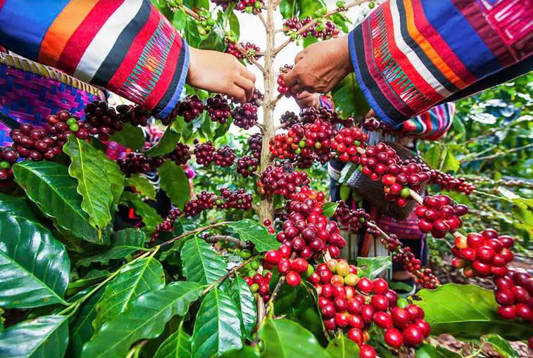 Gen N Z7366913804651 F4ad183e98ae91ecdb9445d9513b9bf6